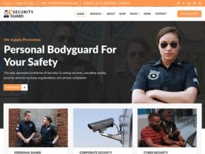 Professional Website Designing Services in Patiala 4 Security Servies Website Semple